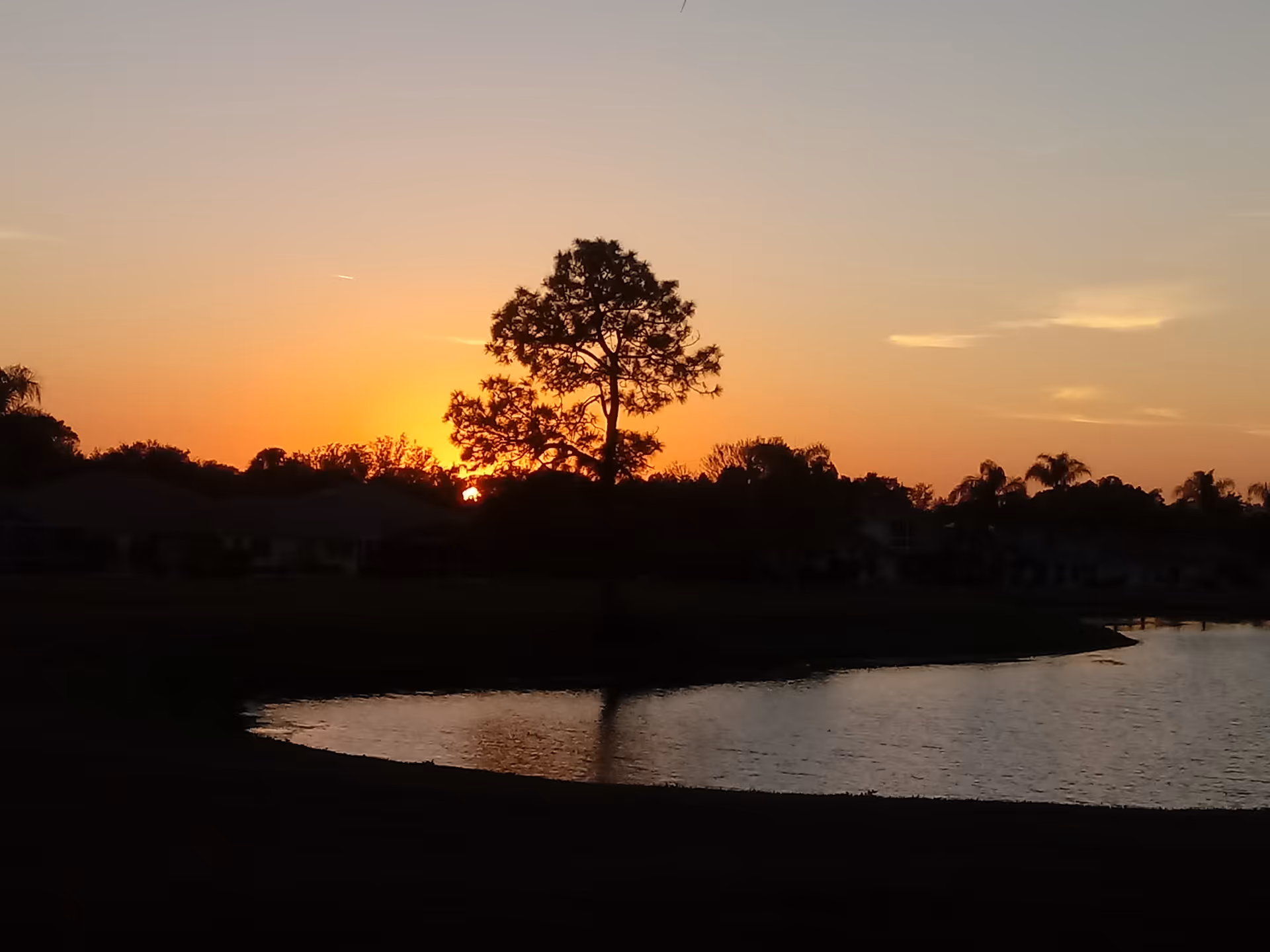 Sunset over a lake with silhouetted trees and distant buildings.