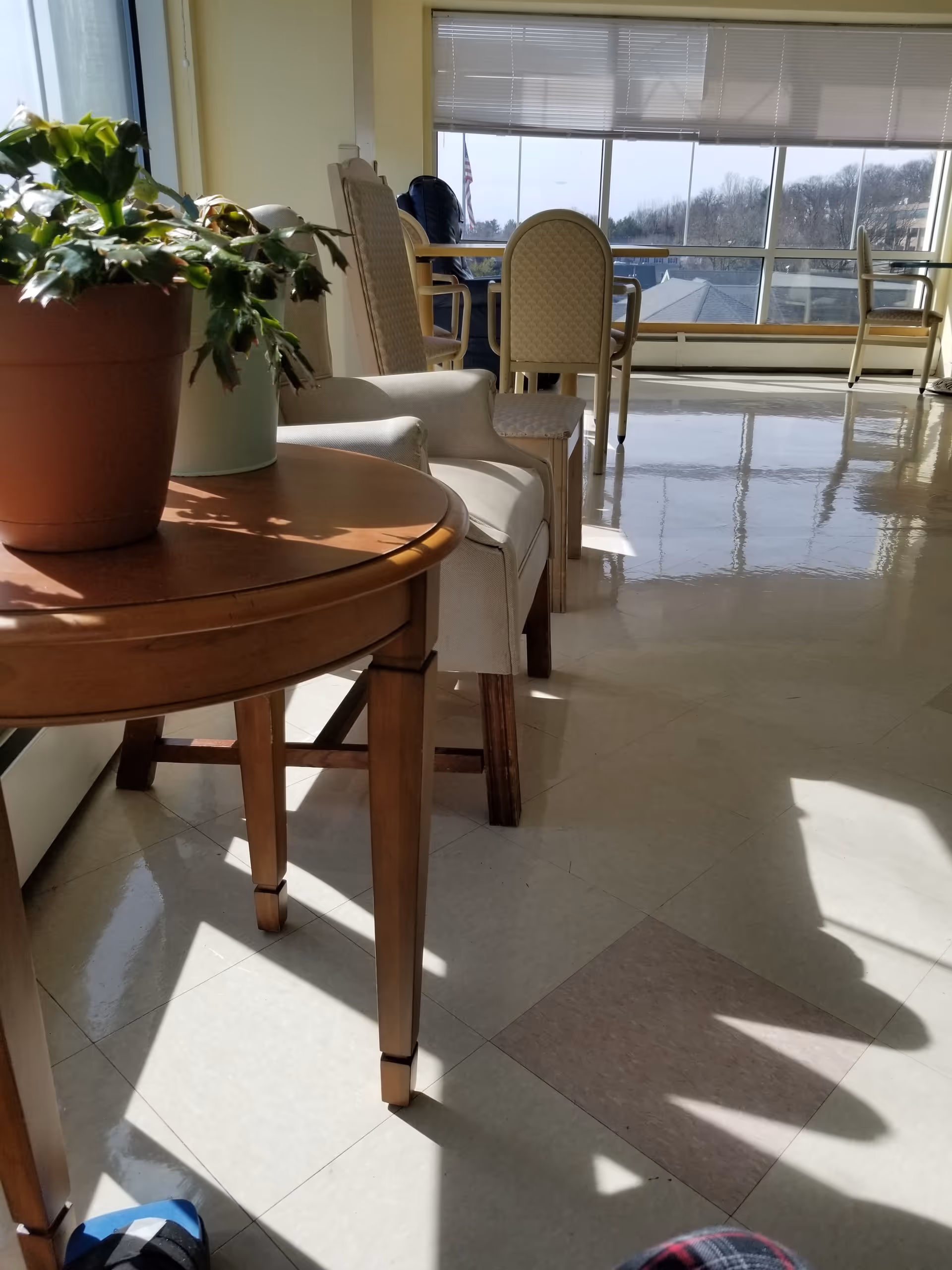 Sunny interior lounge with chairs, tables, and a potted plant by large windows.