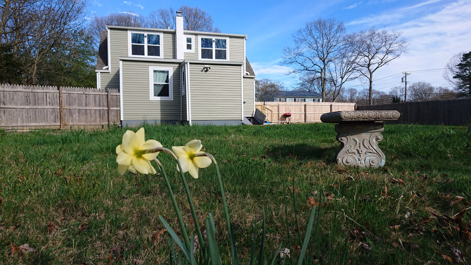 Backyard with daffodils, a two-story light-green house, wooden fence, and a decorative bench.