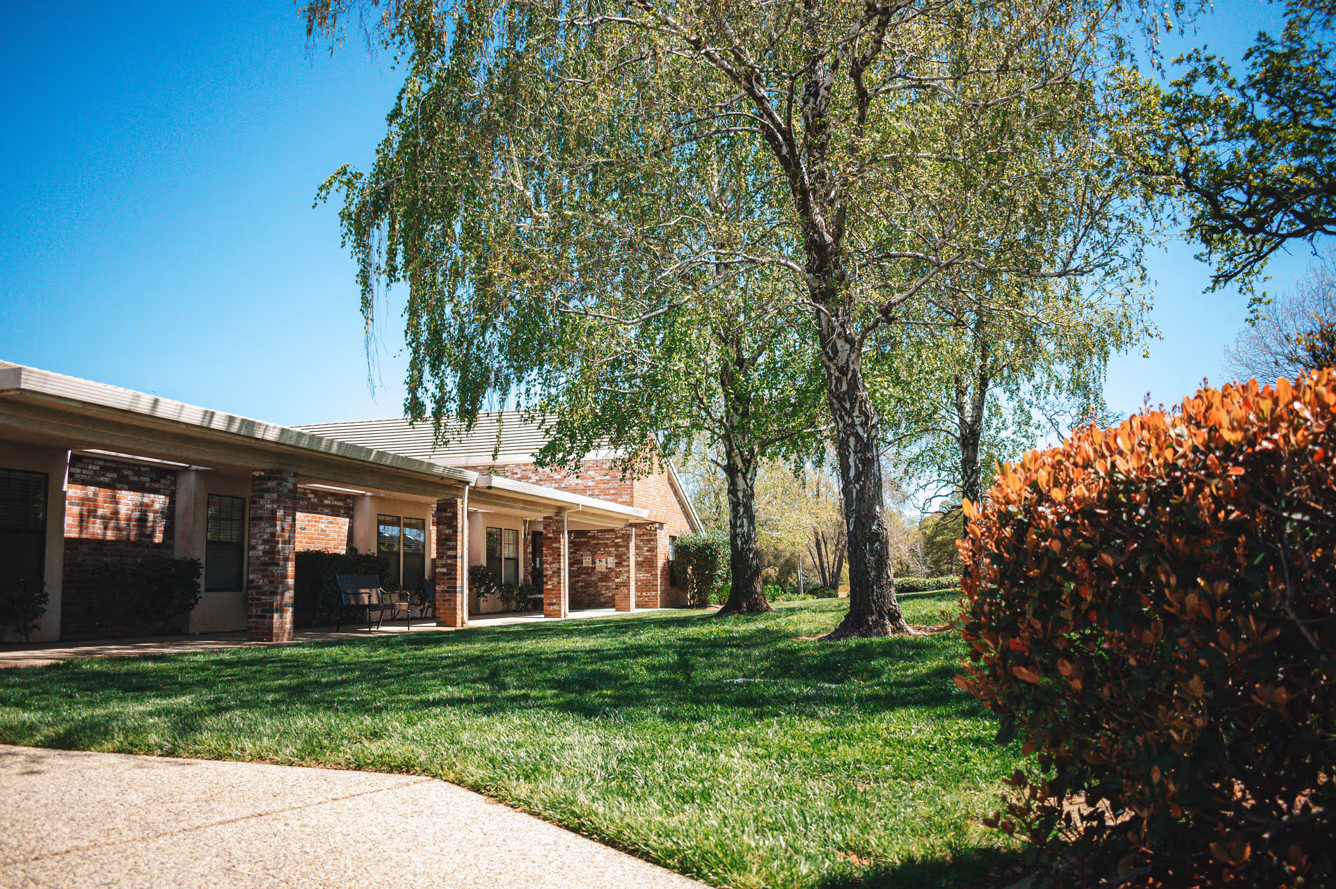 Brick single-story building exterior with a covered walkway, green lawn, and trees.