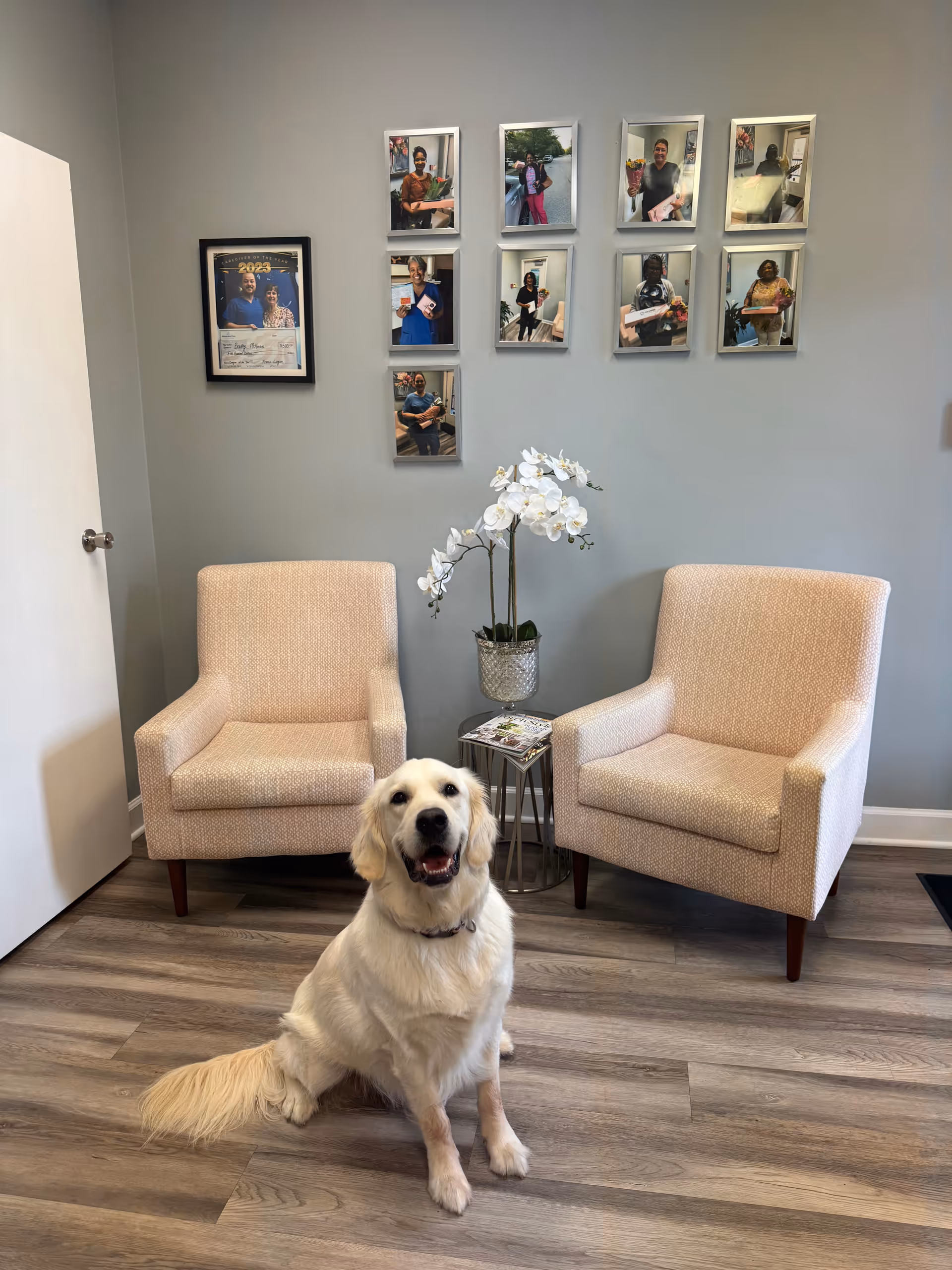 Interior waiting area with two beige chairs, orchid, wall photos, and a friendly dog.