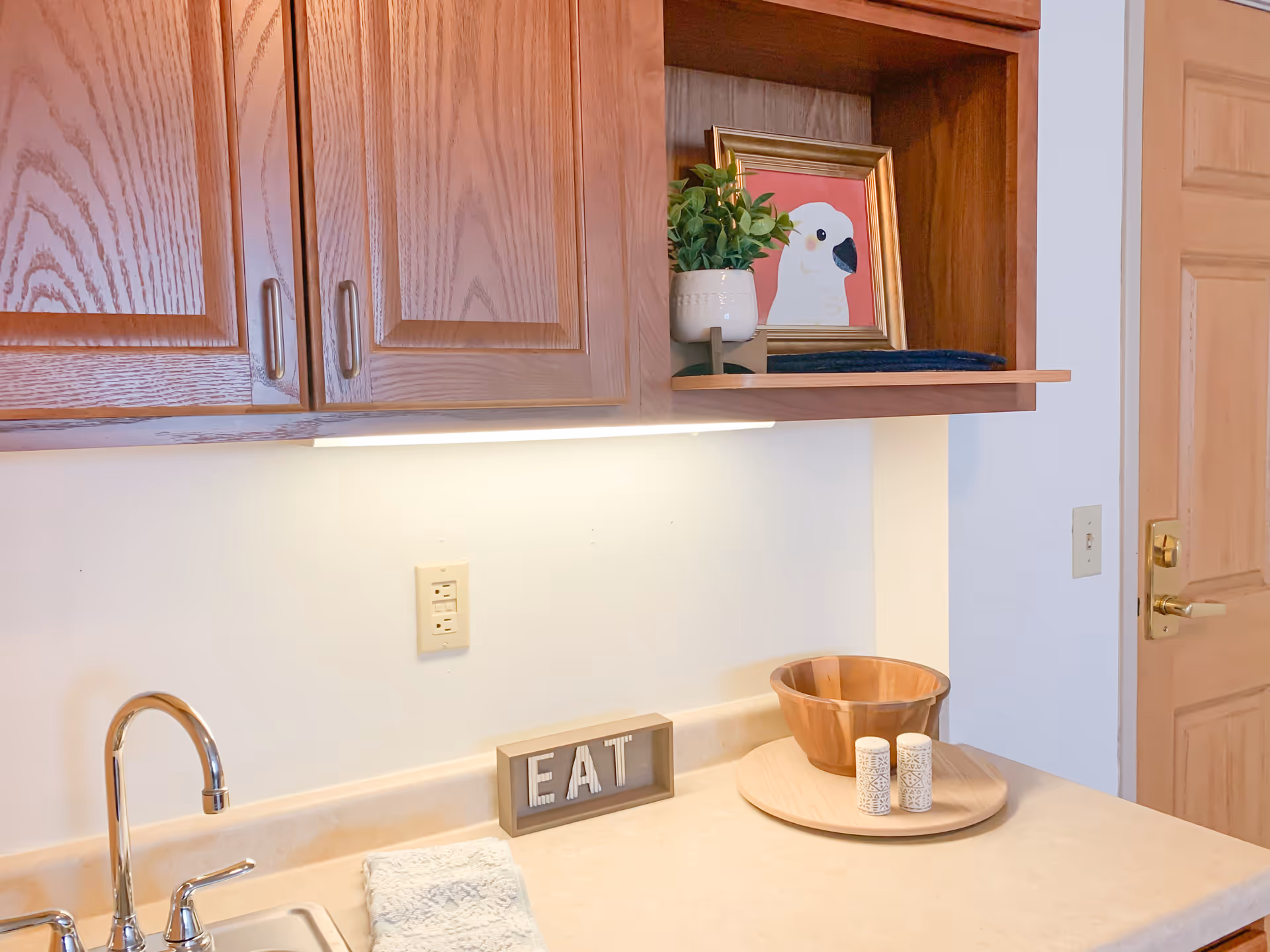 Wooden kitchen cabinets, counter, sink, decorative bowl, and framed bird photo on shelf.