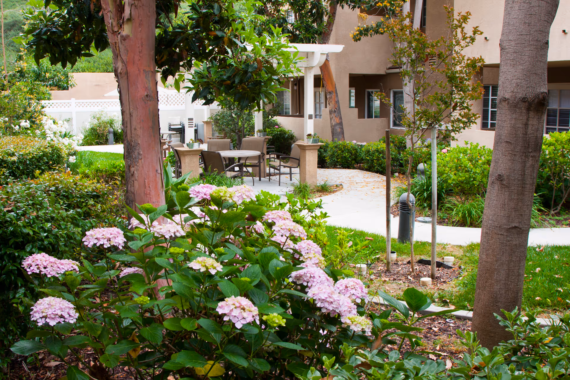 Outdoor garden area with blooming pink hydrangea flowers, green shrubs, and trees. A paved walkway leads to a patio with several chairs and tables near a beige building with windows.