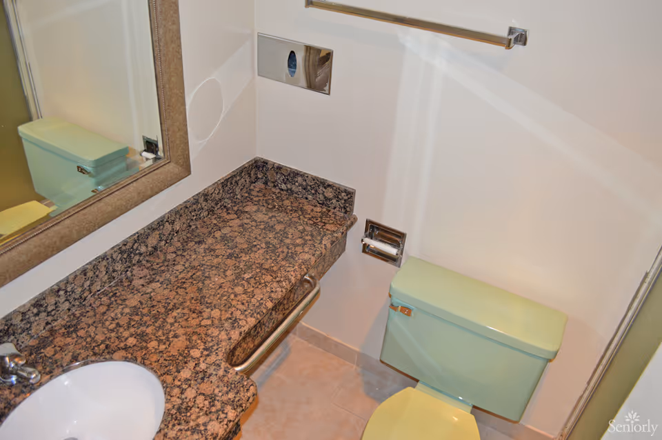 A bathroom view featuring a granite countertop, mirror, and a green toilet.