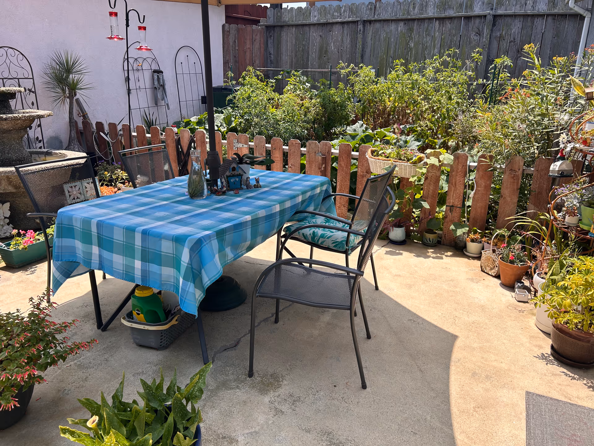 Outdoor patio with a blue checkered tablecloth, chairs, and potted plants.