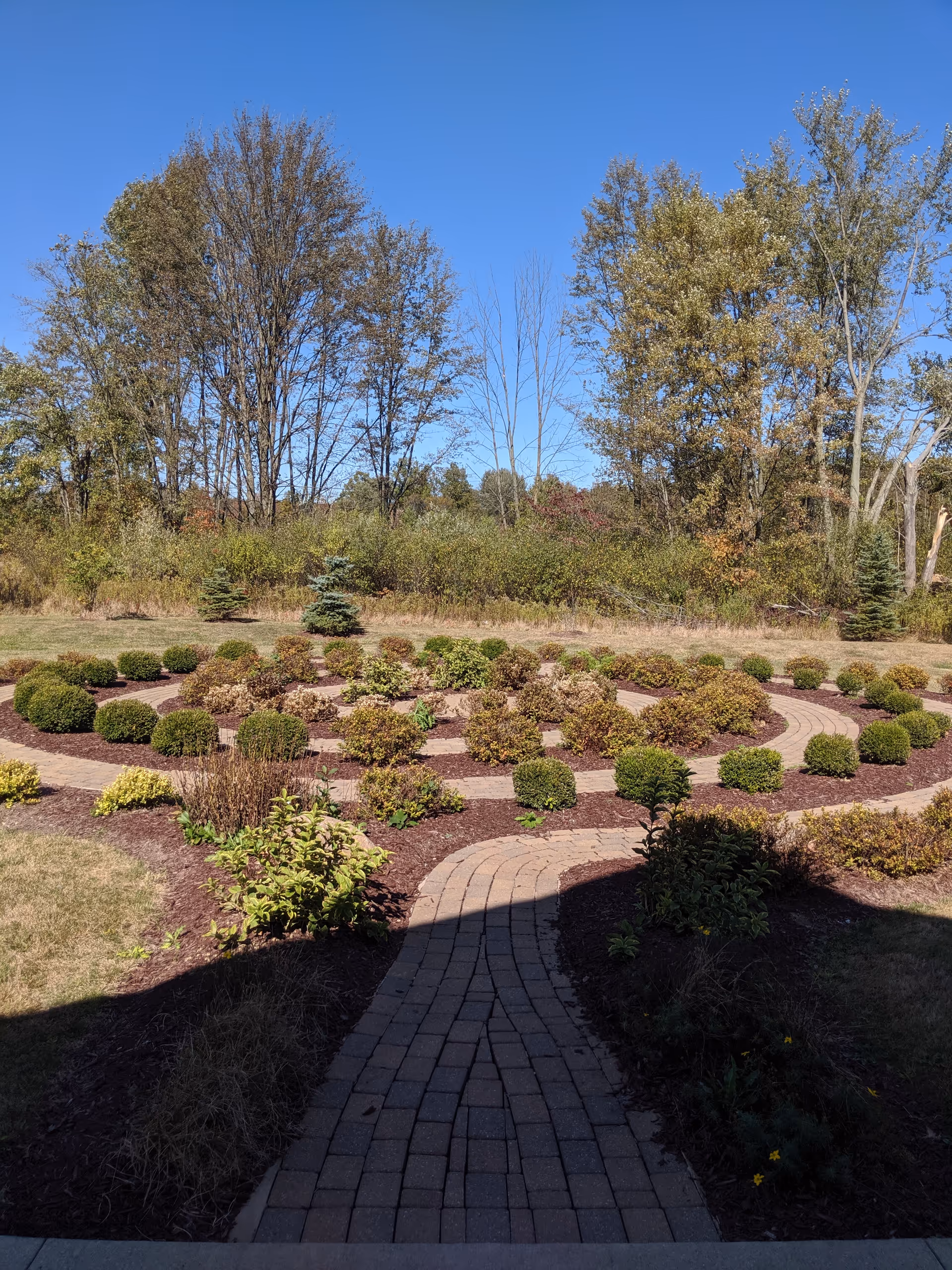Brick-paved garden path winds through neatly trimmed shrubs under a blue sky.
