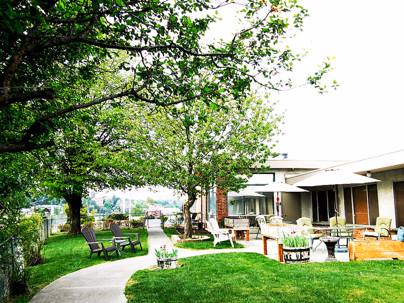 Outdoor courtyard with trees, a paved walkway, lawn chairs, tables and umbrellas beside a building.