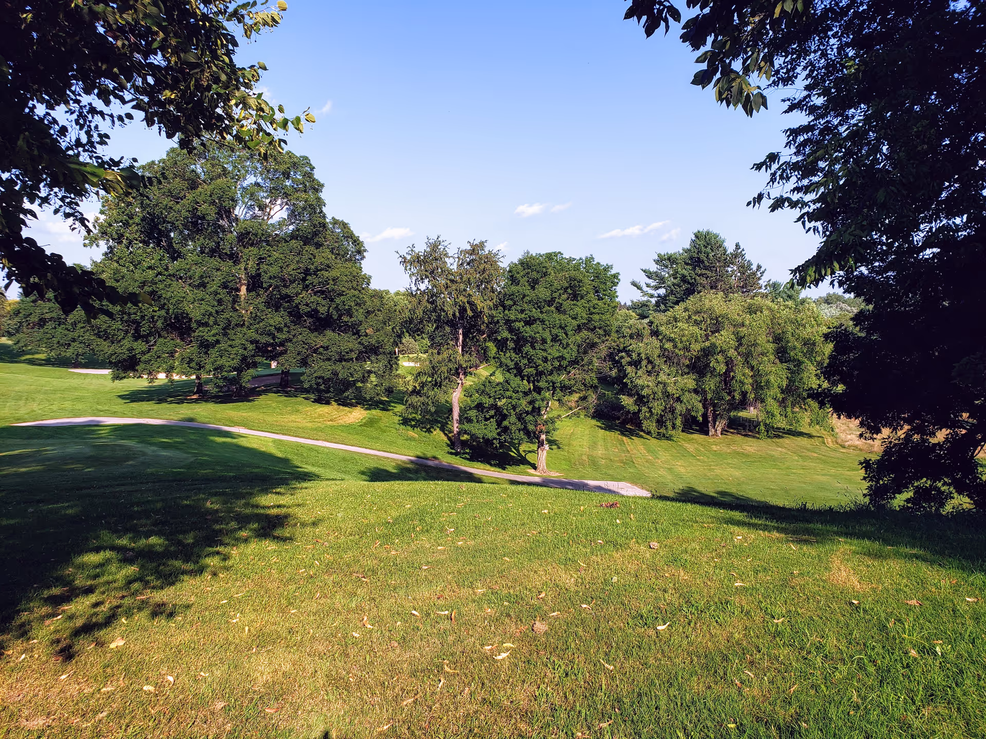 Sunny outdoor park-like landscape with green hills, trees, and a winding path.