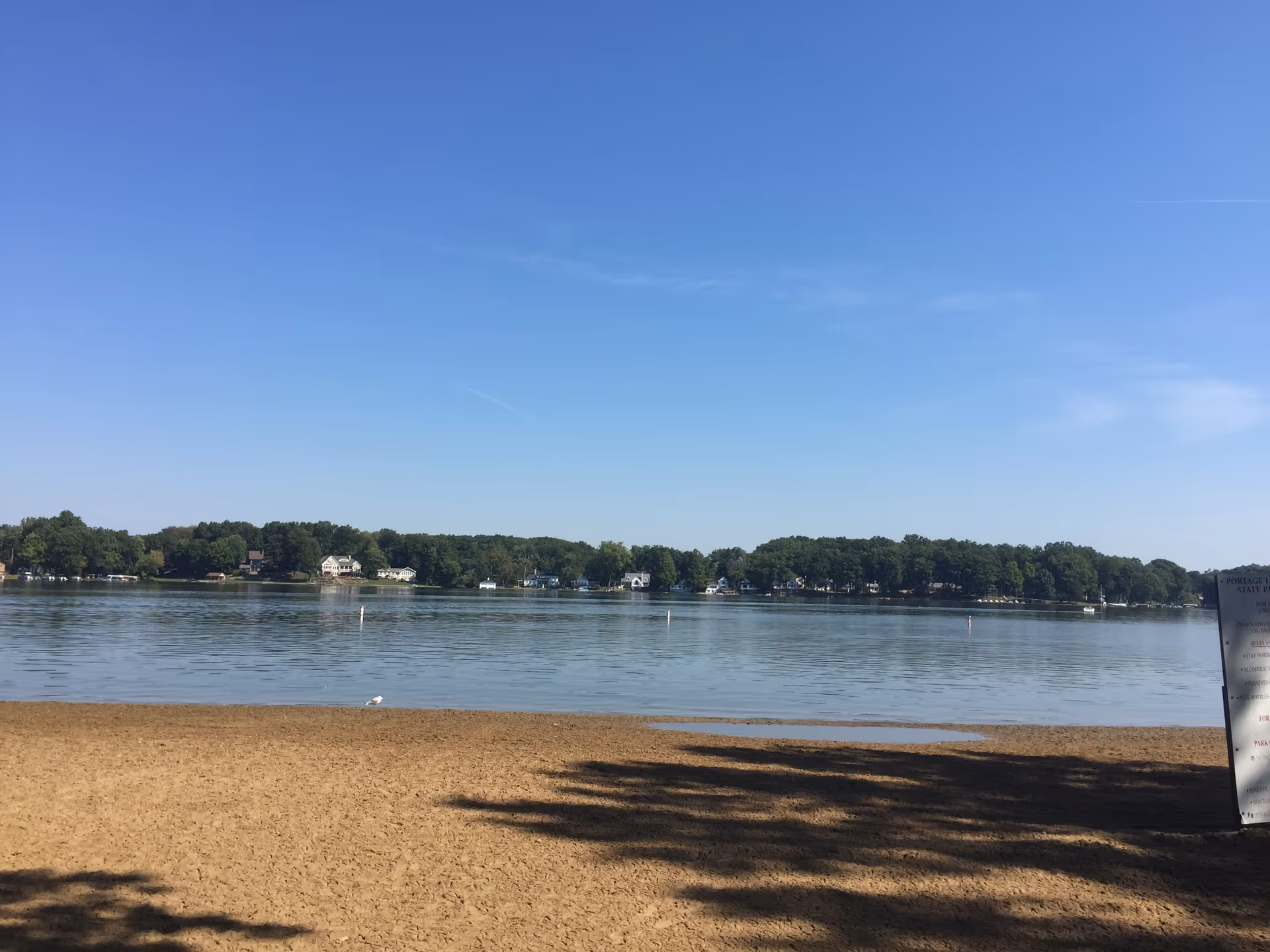 Calm lake scene with a sandy beach and tree-lined shoreline under blue sky.