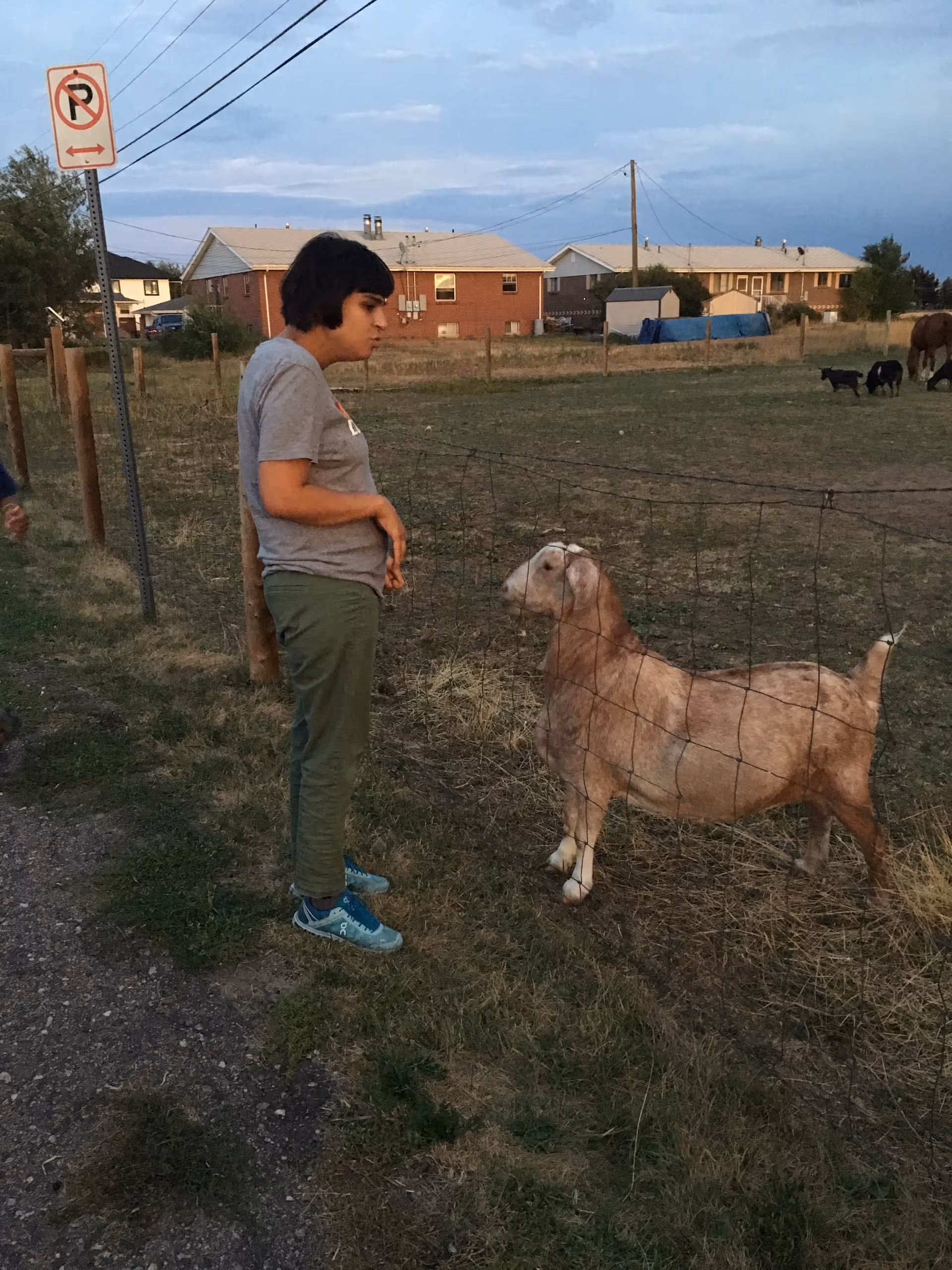 Person in casual clothing chats with a goat beside a fence in a rural outdoor area.