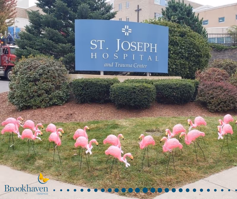 Blue hospital sign with greenery and pink flamingos in a landscaped outdoor area.