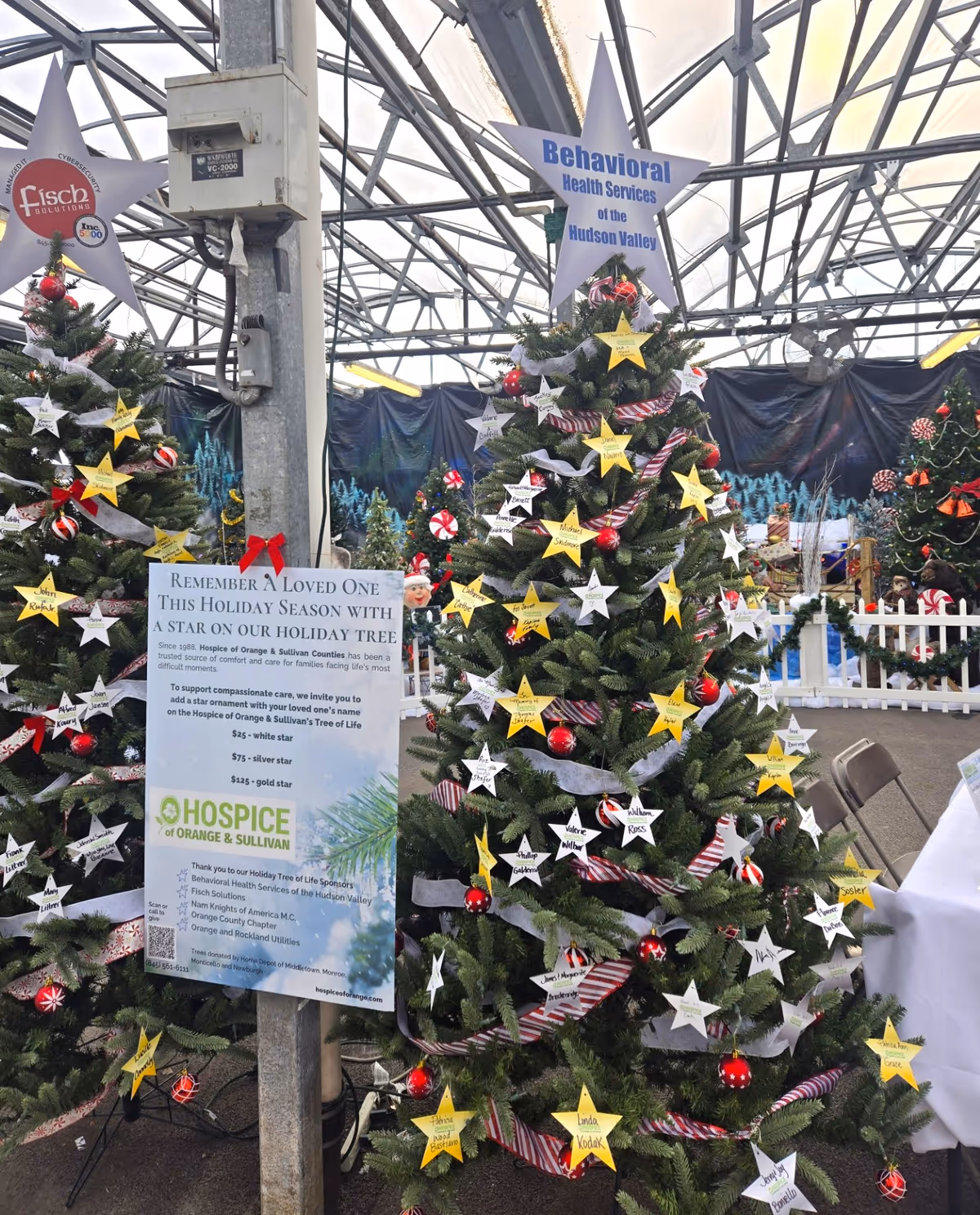 Indoor display of decorated Christmas trees with star name tags and a holiday signage board.