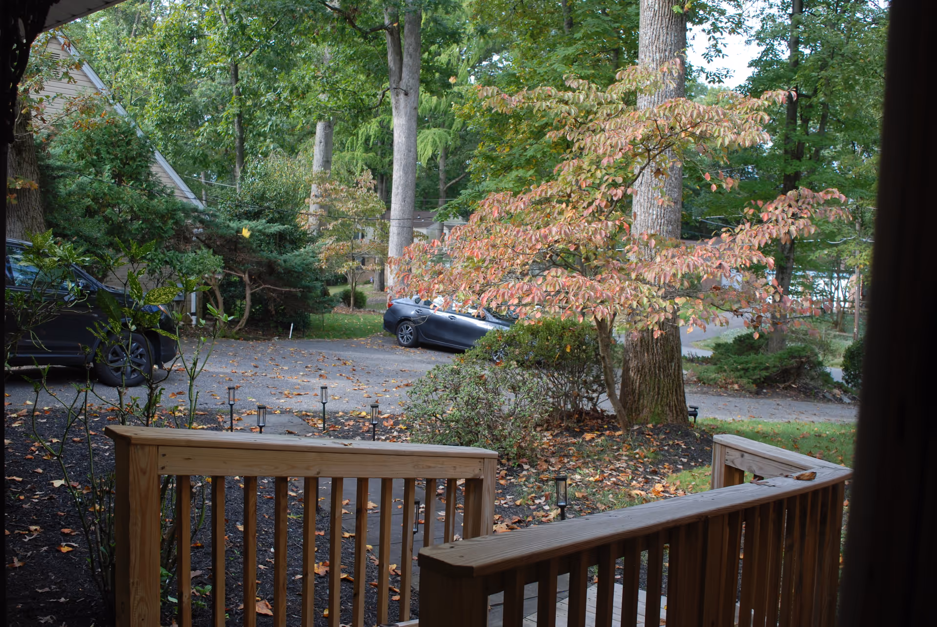 A wooden porch overlooks a tree-filled yard with parked cars.