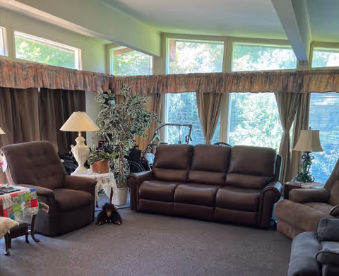 Cozy living room with brown leather sofas, lamps, plants, windows, and a small dog.
