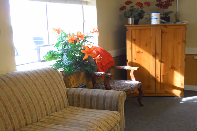 A cozy room with a striped sofa in the foreground, a wooden armchair with floral upholstery, a large potted plant with orange flowers near a window, and a wooden cabinet with decorative items on top including a container and a small vase with red flowers.