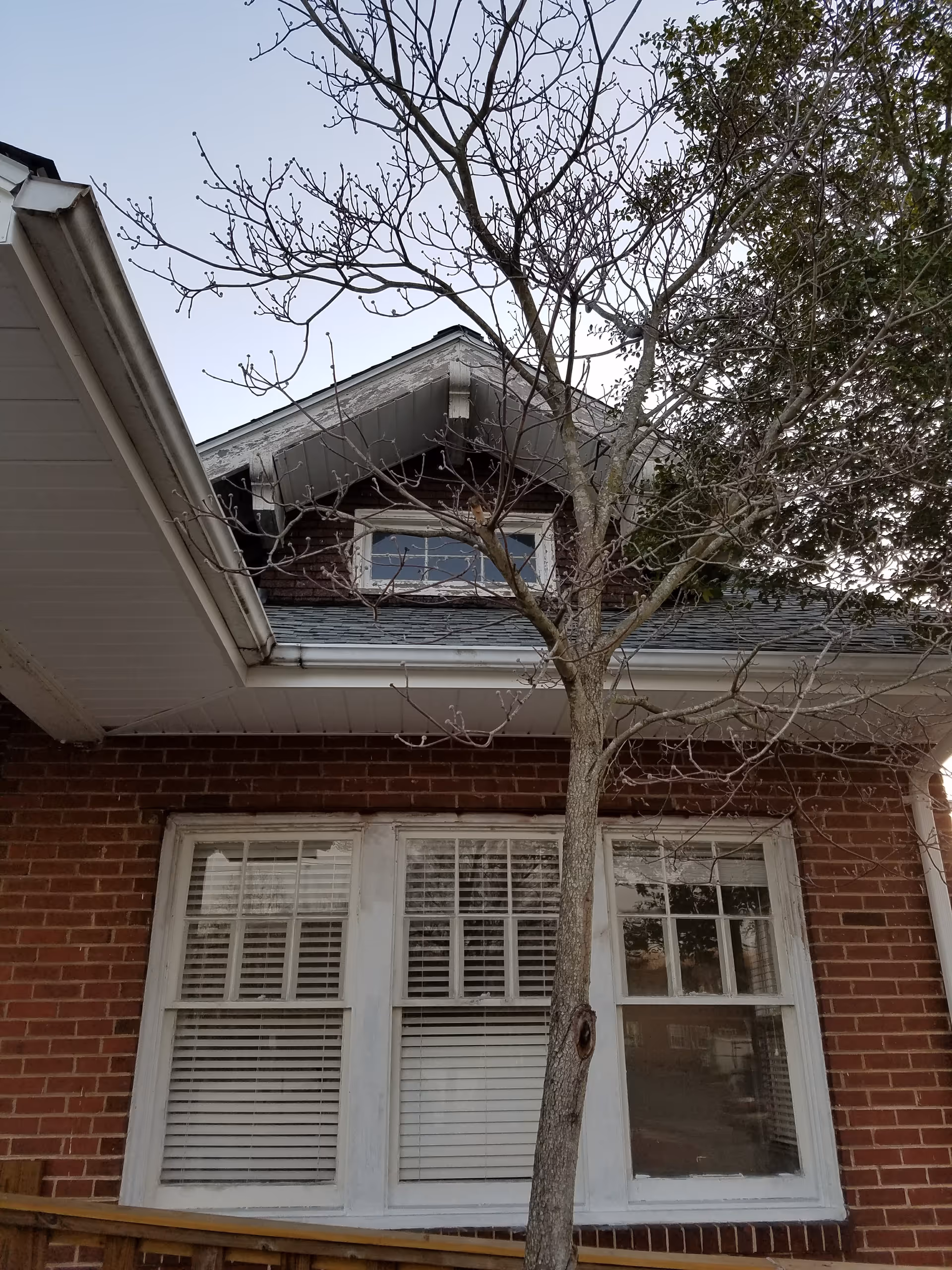 Front exterior of a brick senior living facility with a bare tree in foreground.