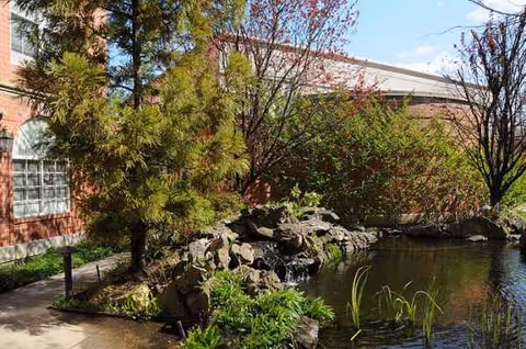 Outdoor garden with a pond, rocks, and trees beside a brick building.