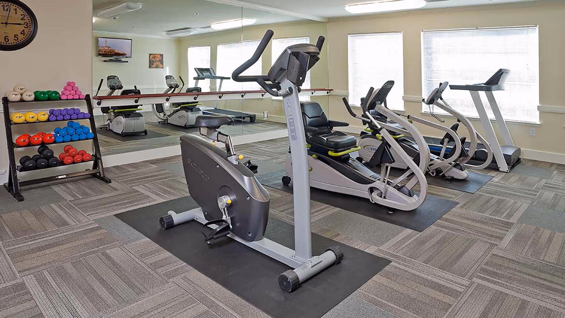 Fitness room with exercise bikes, ellipticals, a treadmill, a rack of colorful dumbbells, and a mirrored wall.
