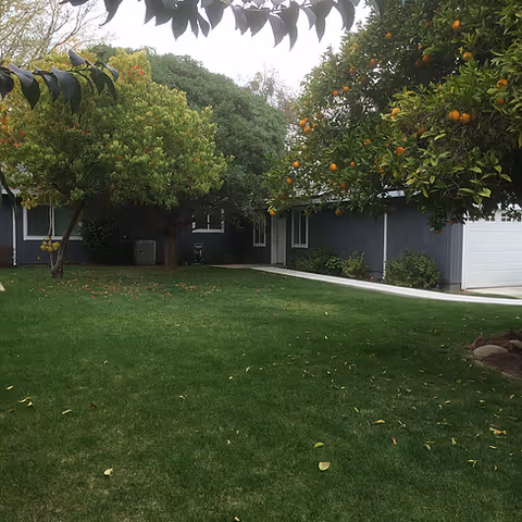 Elisabeth Care Home exterior with a lawn, trees, and a driveway.