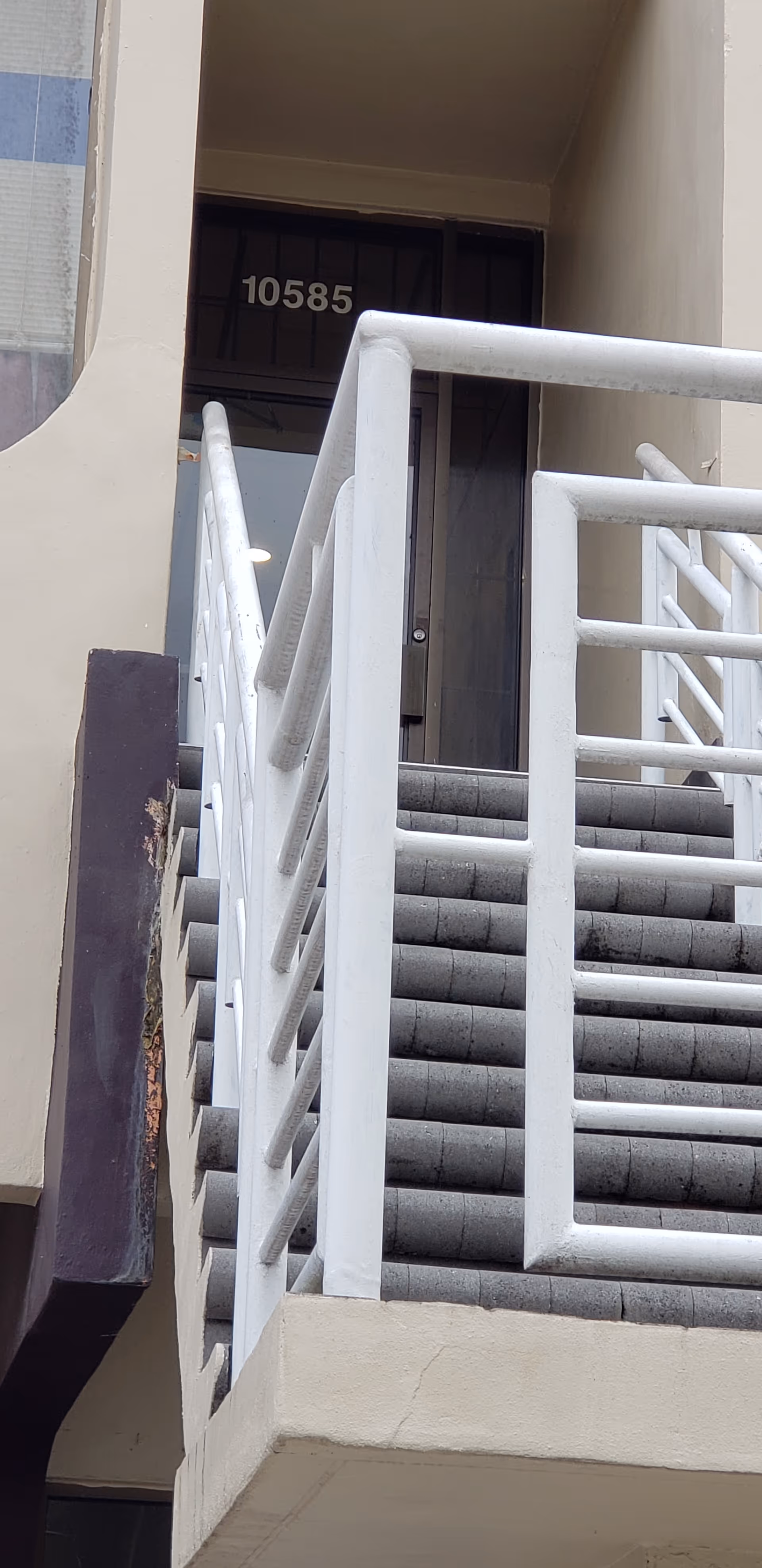 Exterior staircase with white metal railings leading to a dark entry door.