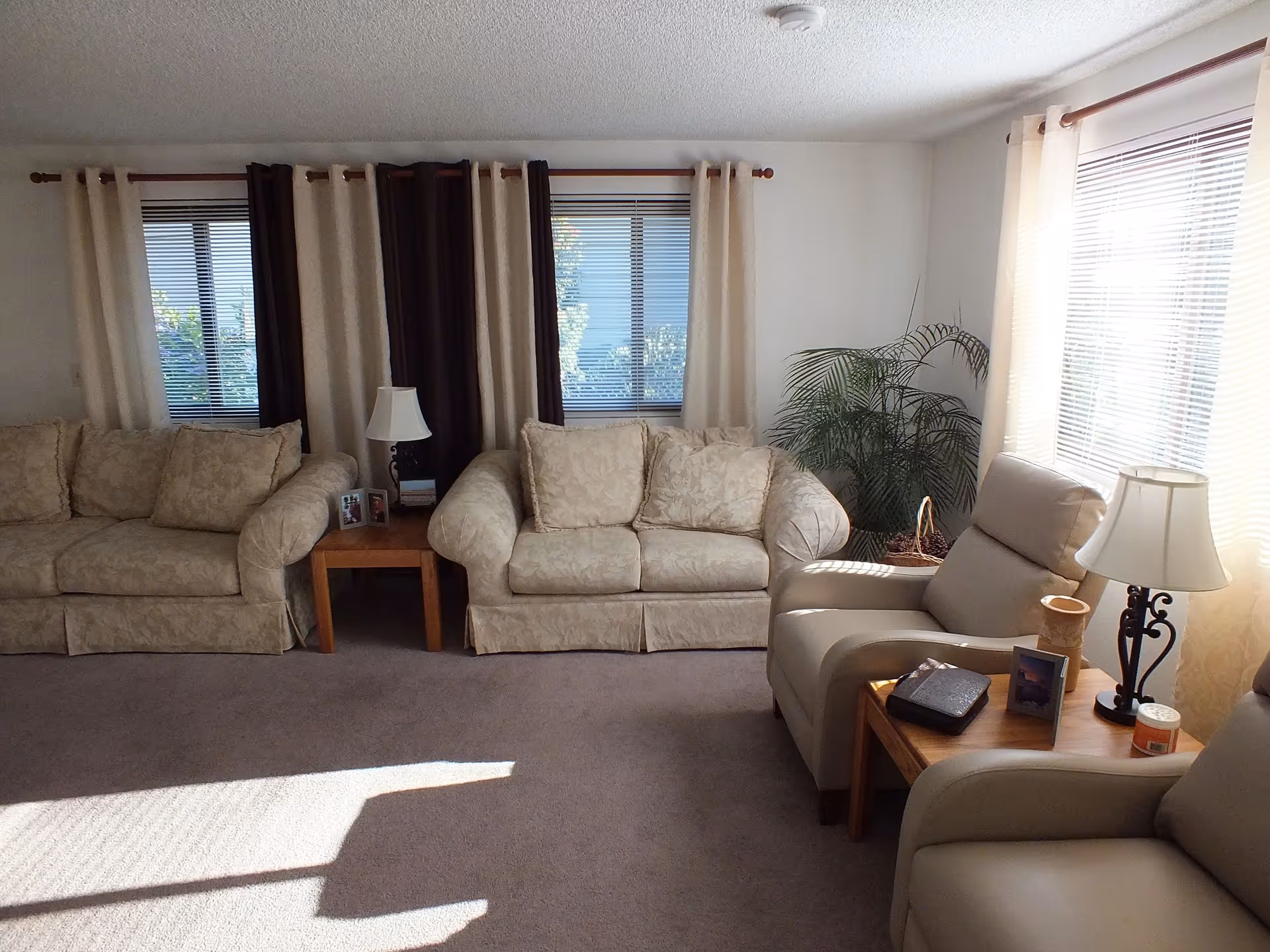 Bright living room with cream sofas, matching chairs, lamps, and a potted plant