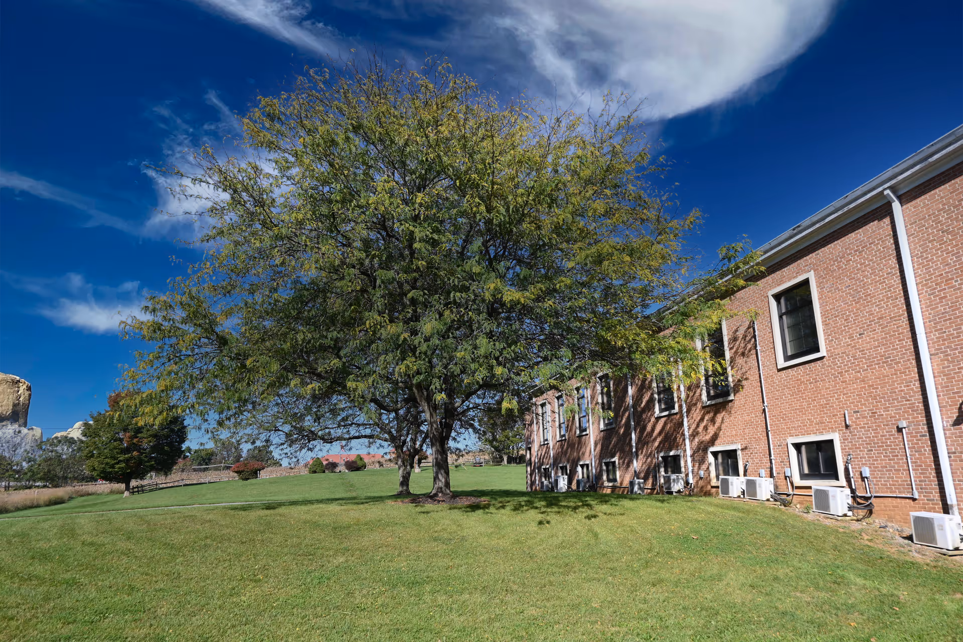 Brick senior-living building on a grassy lawn with a large tree under a blue sky.