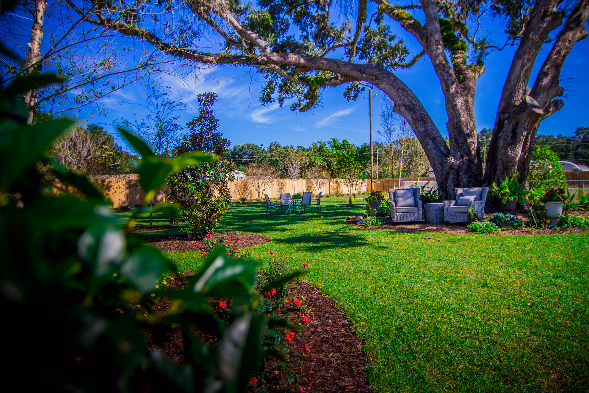 A sunny outdoor garden area with green grass, flower beds, and a large tree providing shade. There are several chairs and small tables arranged under the tree and further back on the lawn, creating a relaxing seating area. The sky is clear and blue with a few wispy clouds.