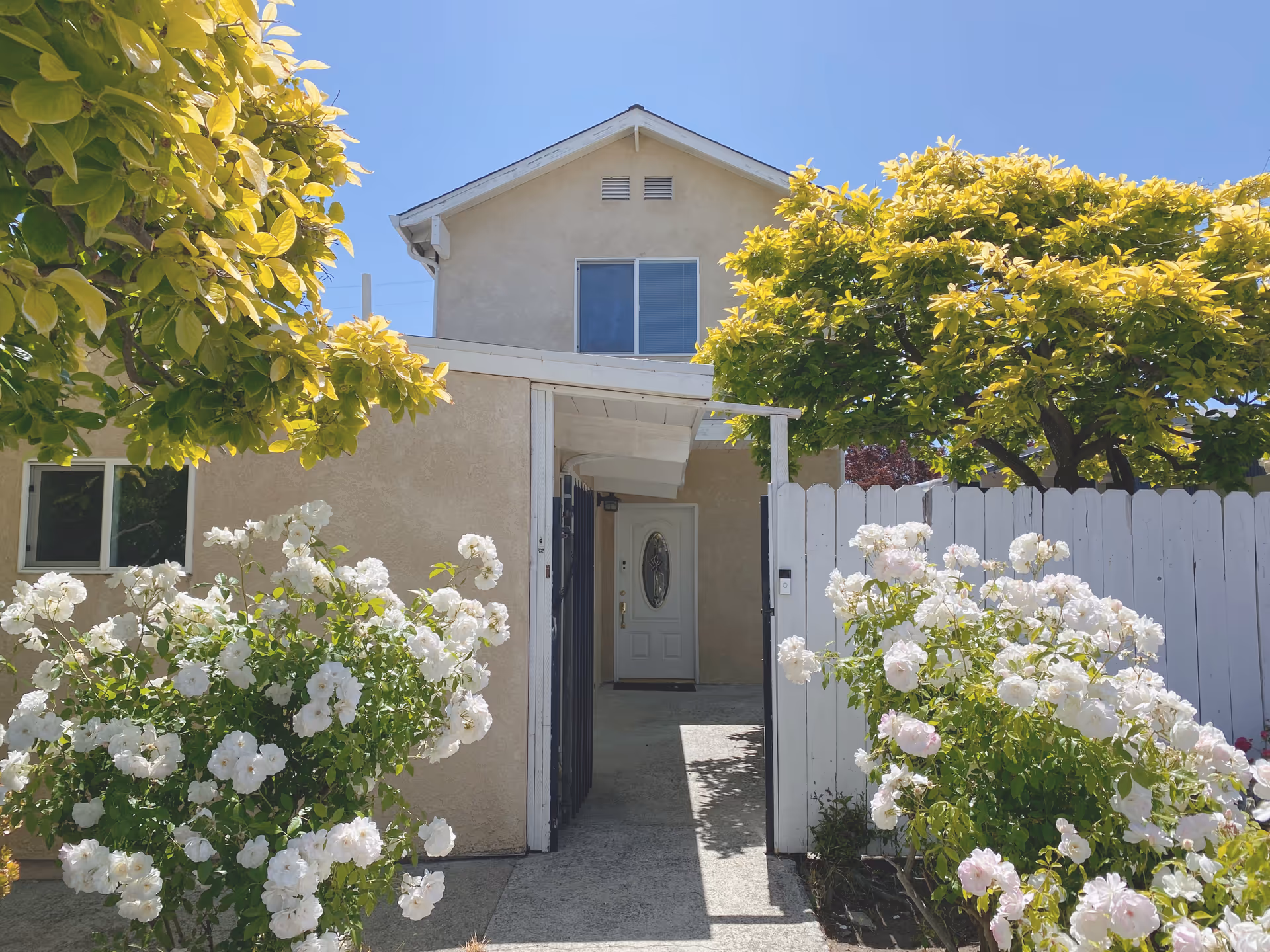 Sunlit front entrance of a beige house with gate and white roses.