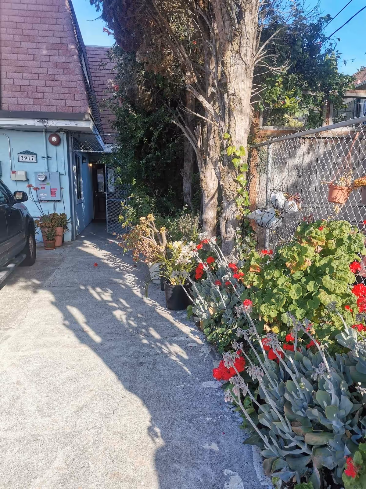 Outdoor walkway to a blue building entrance with a chain-link fence and flowers