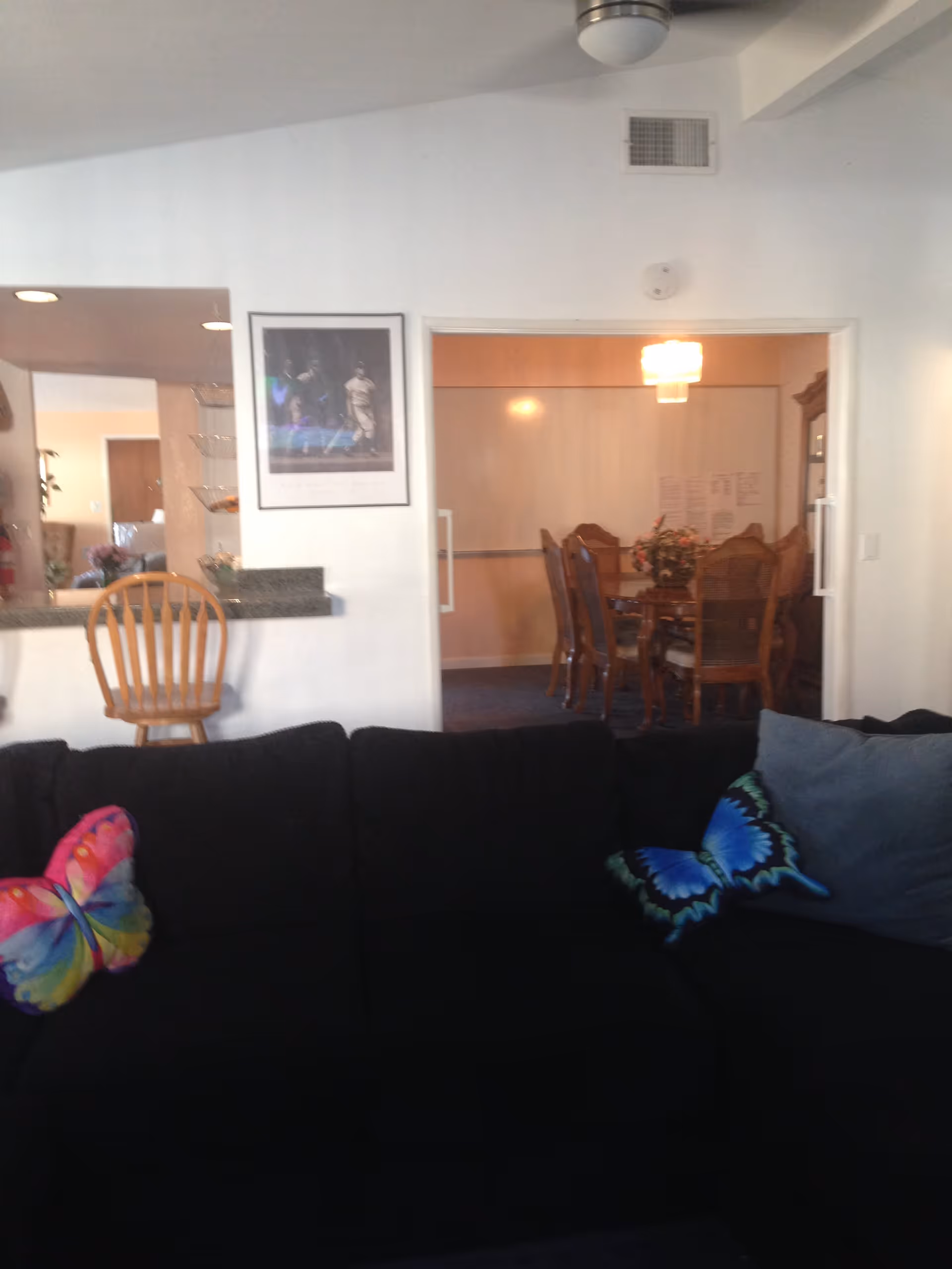 Living room with a black sofa and colorful butterfly pillows looking into a dining room with a wooden table and chairs.