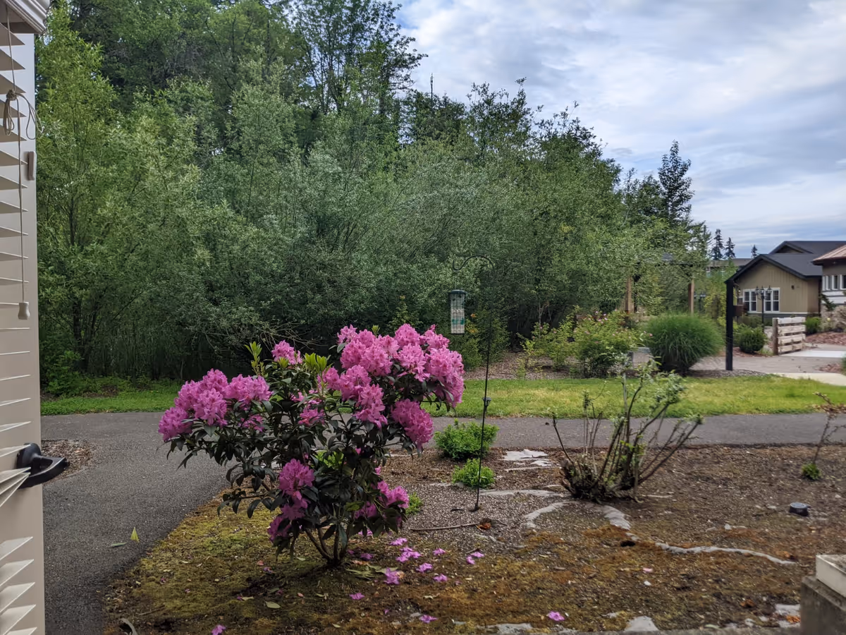 Outdoor garden area with pink flowering shrubs, trees, and a path beside the facility.