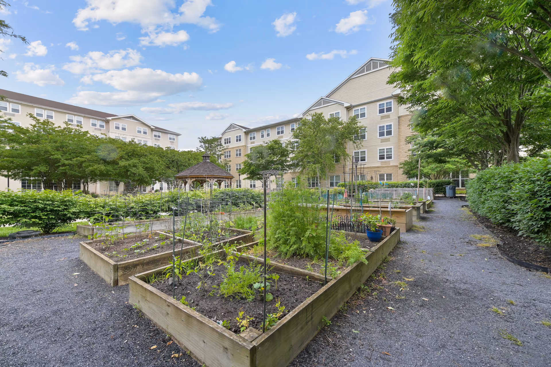 Exterior view of a senior living campus with raised garden beds and a gazebo.