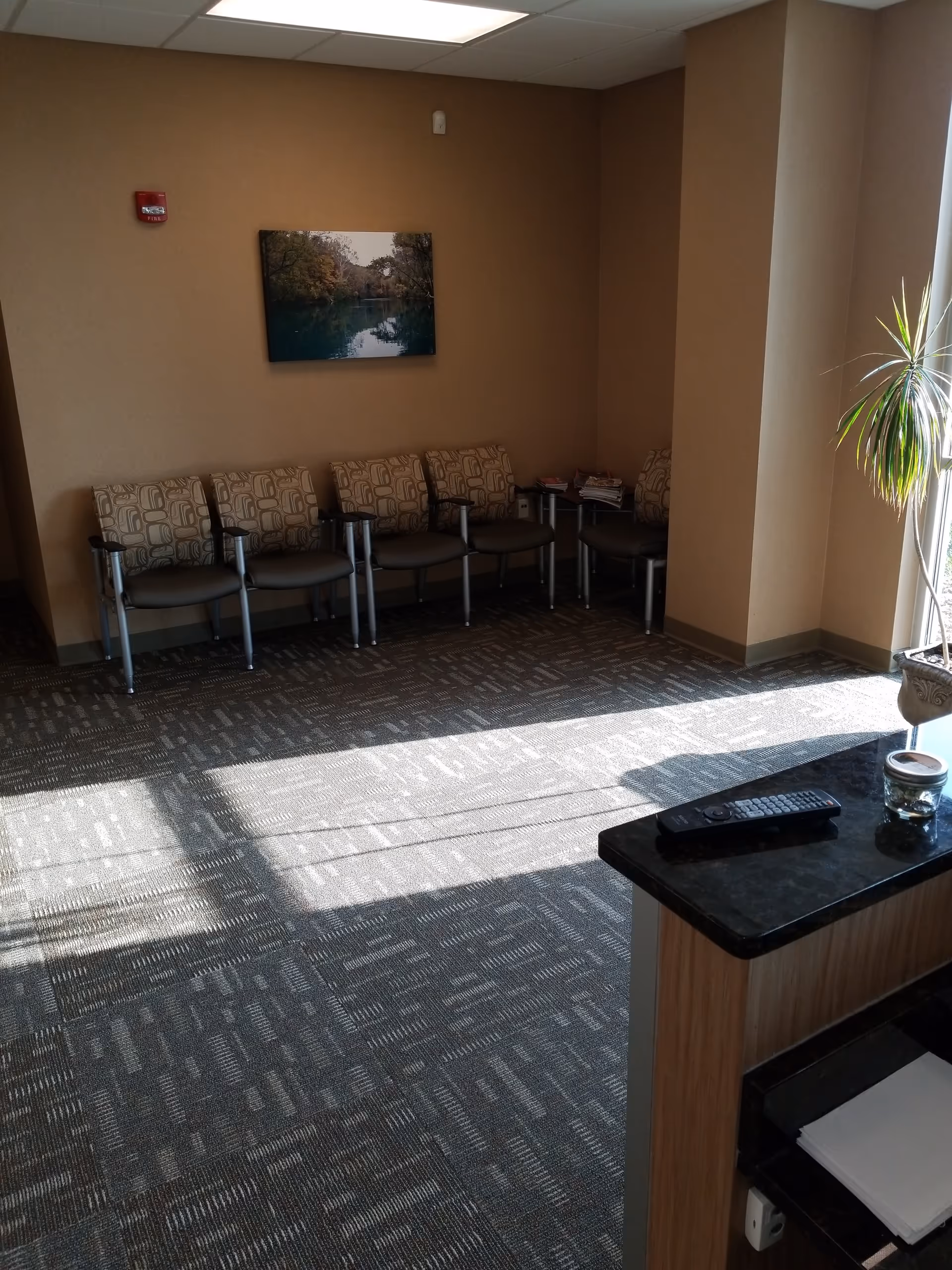 Waiting room with row of chairs, wall art, magazines, and a plant by the window.