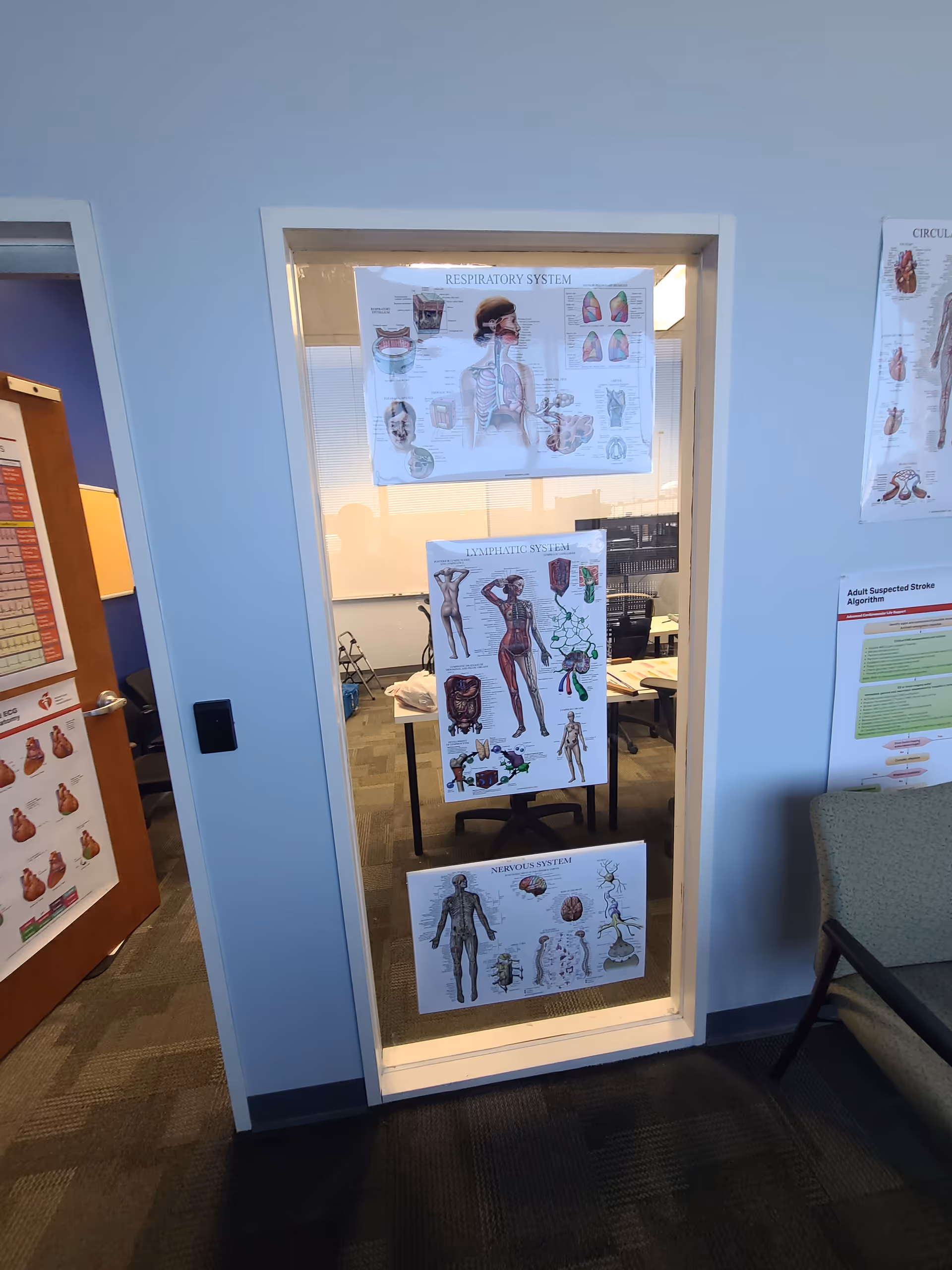 Glass doorway with anatomy posters seen inside a small educational room.