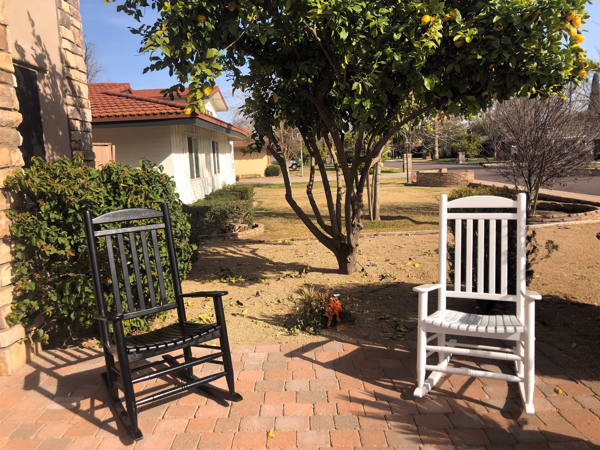 Two rocking chairs, one black and one white, placed on a brick patio under a tree with green leaves and yellow fruit. The background shows a residential area with bushes, a lawn, and a house with a red-tiled roof.