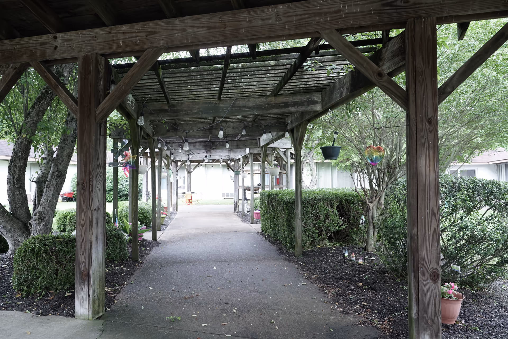 Covered outdoor walkway with wooden beams, string lights, shrubs, and potted plants.