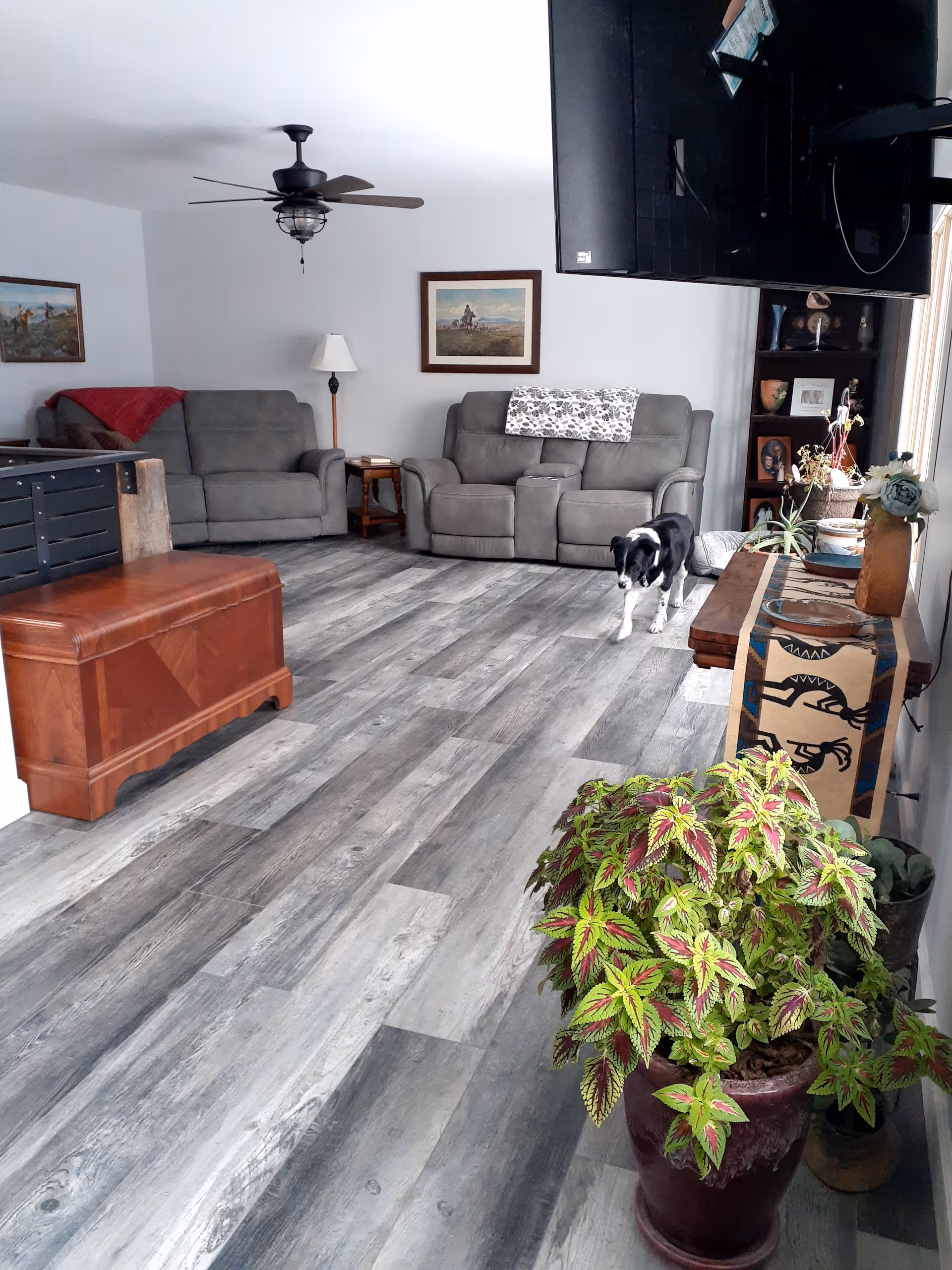 Living room with two gray reclining sofas, plants, TV, and a black-and-white dog.