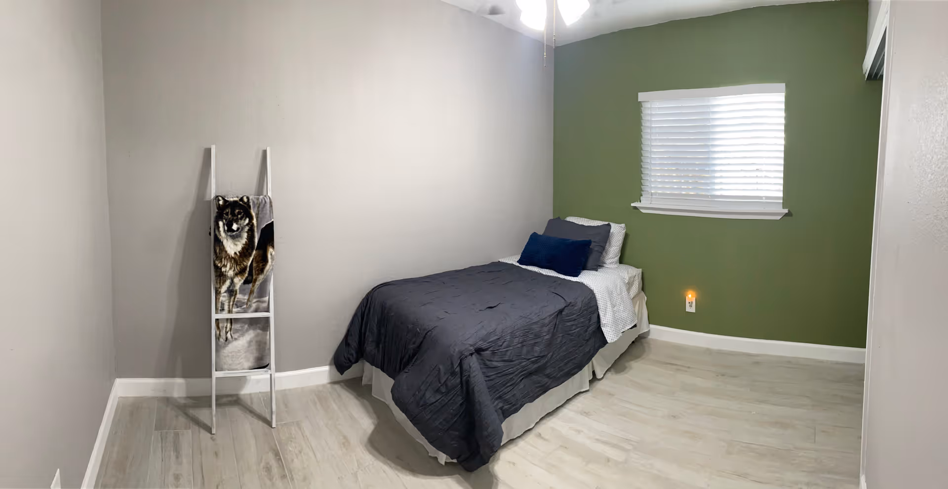 A compact bedroom with a bed, green accent wall, window, and a dog-pattern blanket ladder.