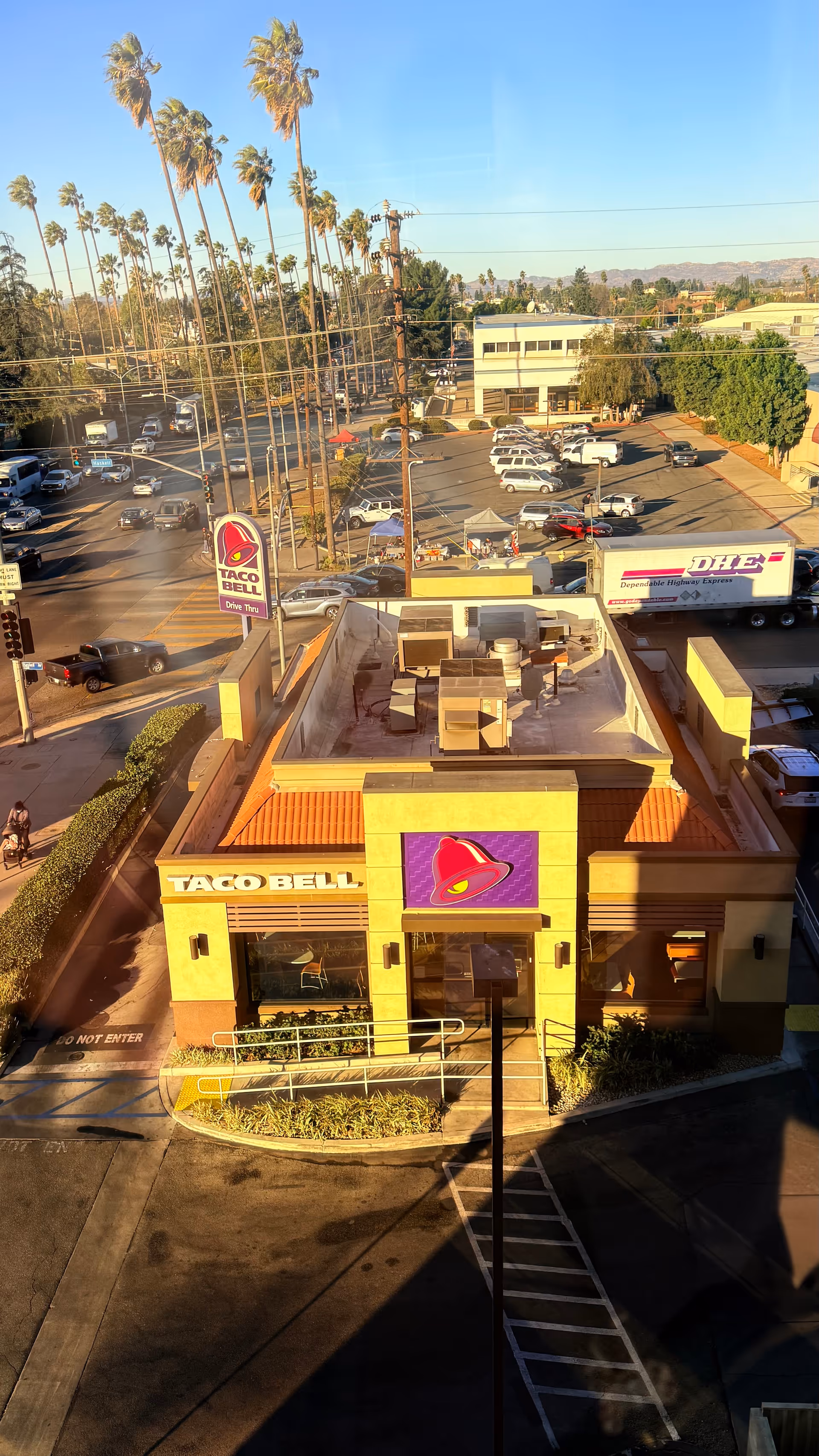 Aerial view of a Taco Bell restaurant with palm trees and a parking lot.