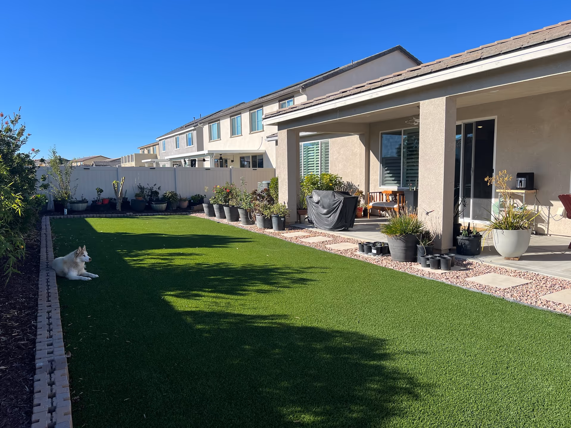Sunlit back yard of Murrieta Manor shows a grassy lawn, potted plants, and a resting dog.