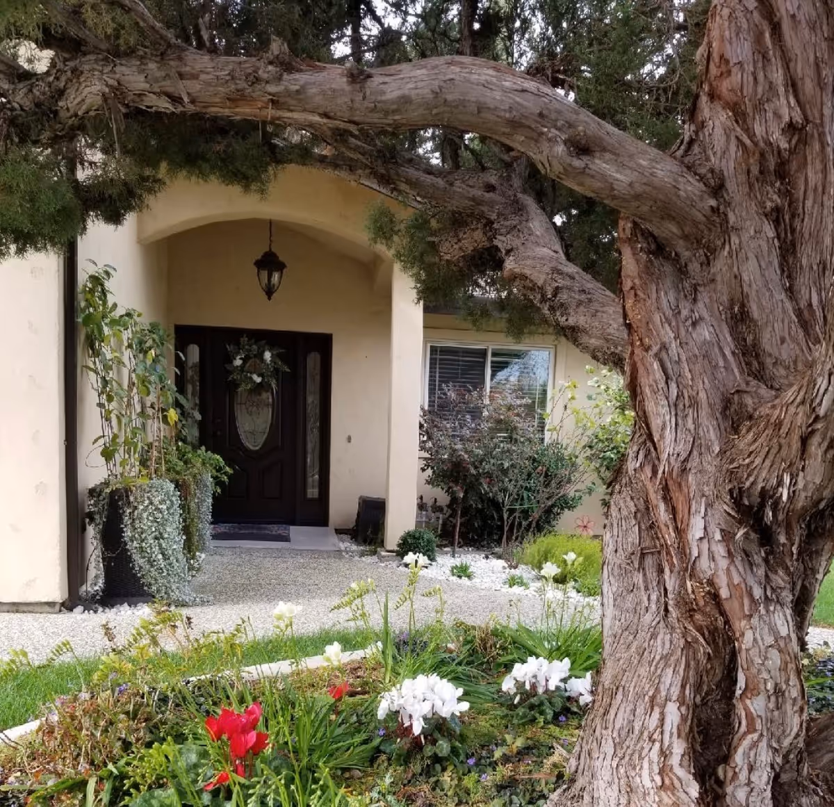 An entrance to a beige building with a dark front door, wreath, and landscaped garden.