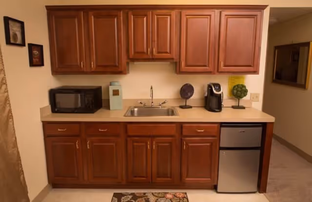 A kitchenette area with wooden upper and lower cabinets, a stainless steel sink, a microwave on the left countertop, a coffee maker on the right countertop, a small refrigerator below the counter, and decorative items including a small plant and framed pictures on the walls.