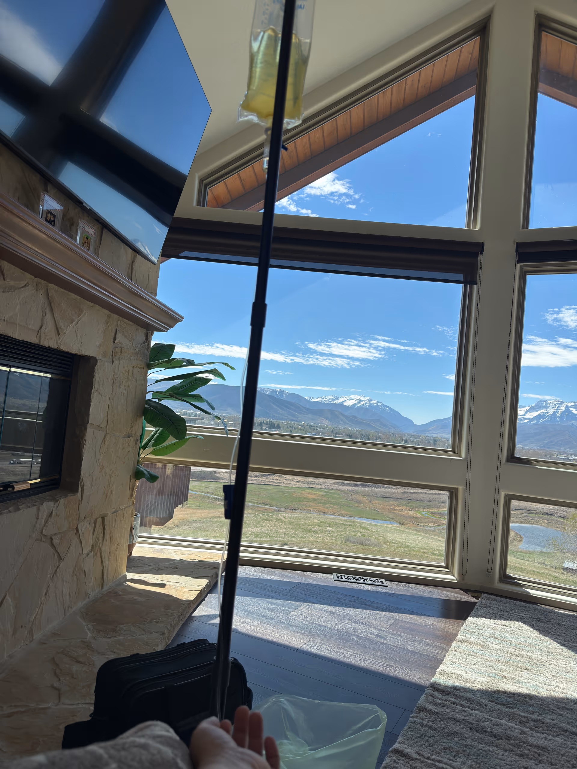 Interior living room with stone fireplace and expansive windows showing snowy mountains.
