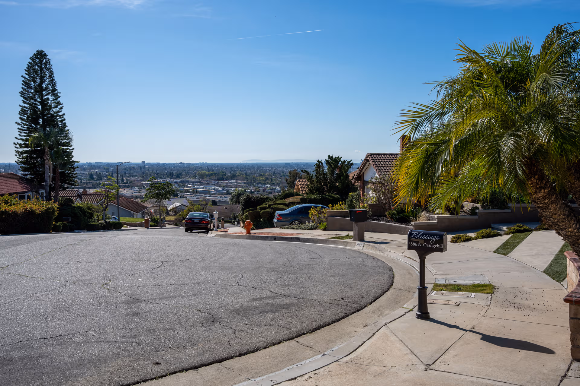 Curved residential street on a hill with palm trees and a Blessings mailbox.