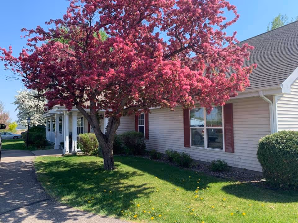 Senior living facility exterior with pink flowering tree and well maintained lawn.