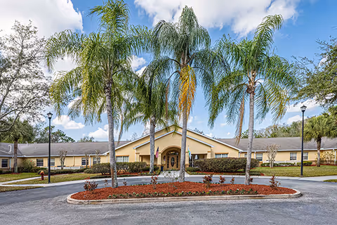 Front view of Arden Courts Palm Harbor building with palm trees and circular driveway.