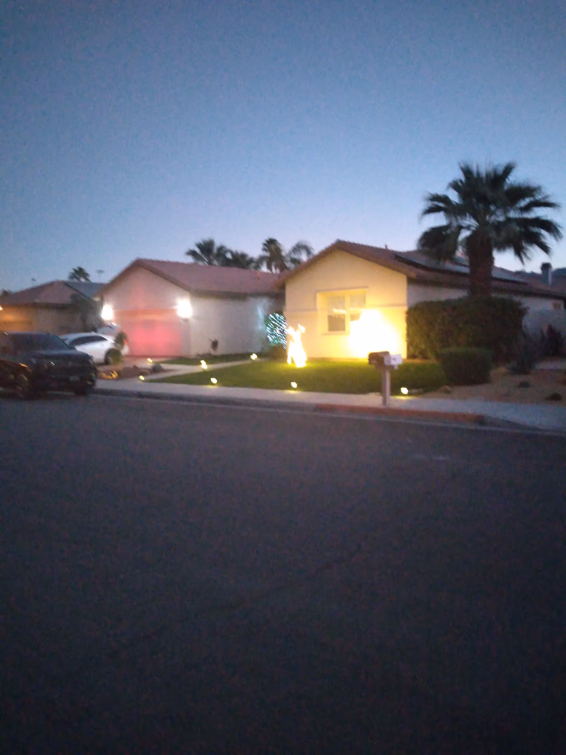 Evening exterior view of a single-story facility with front yard lights and palm trees.