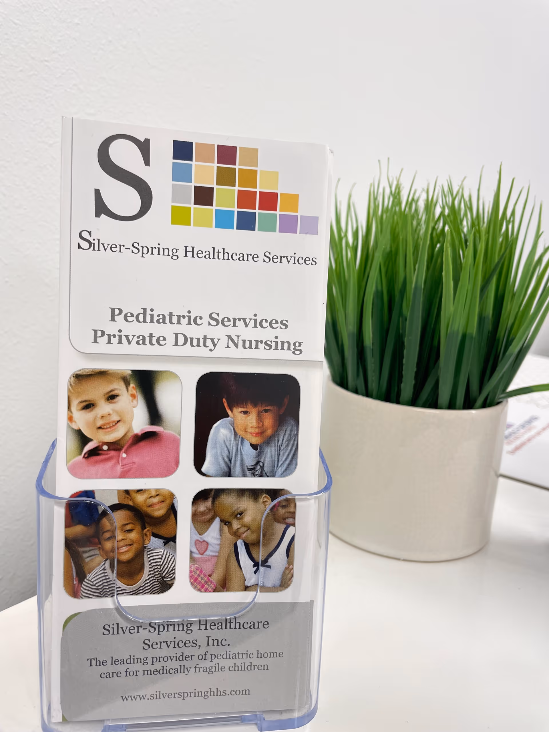 A Silver-Spring Healthcare Services brochure in a clear plastic holder beside a green plant.
