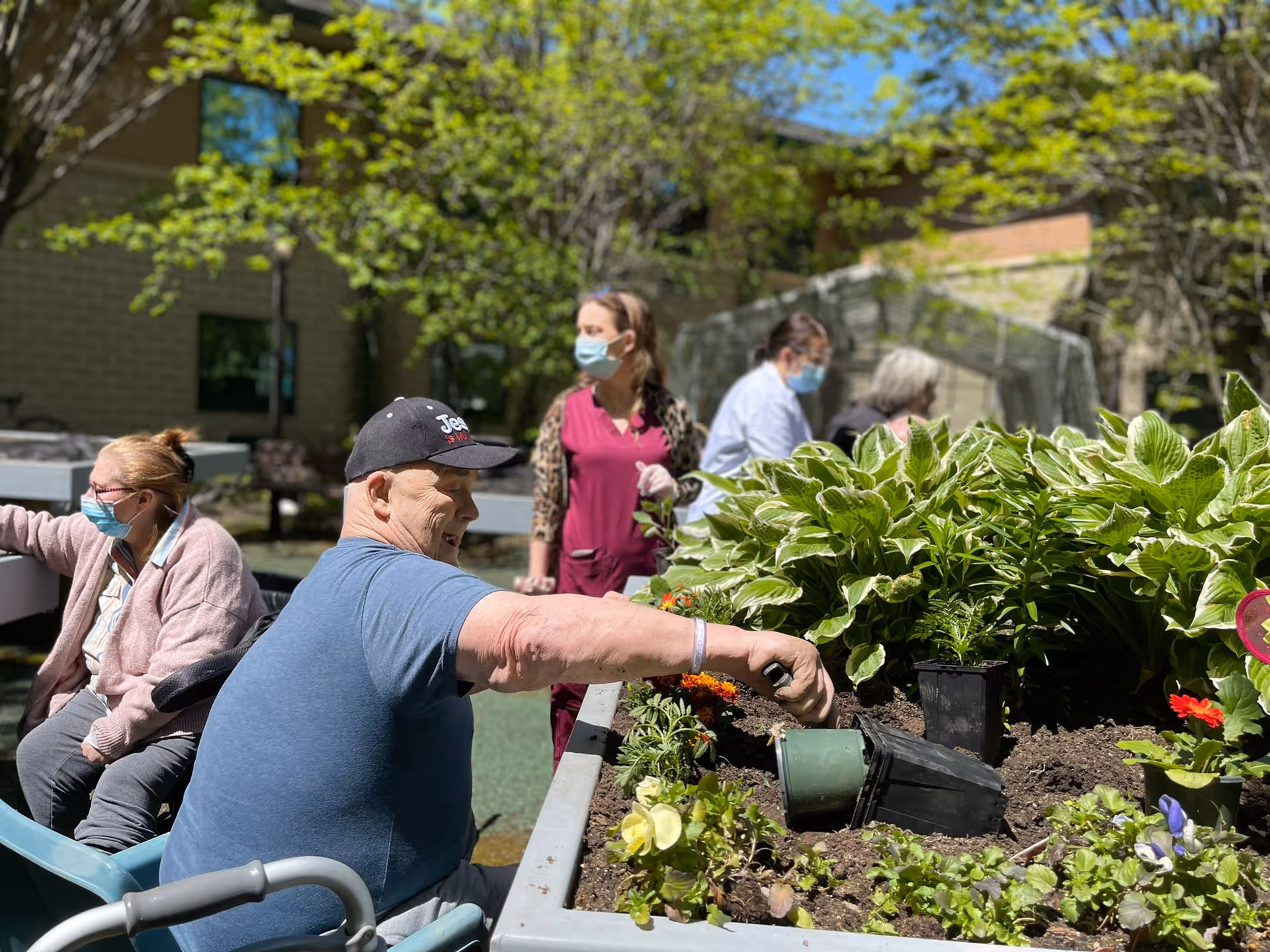 Several elderly individuals and caregivers wearing masks are engaged in gardening activities outdoors at Elmwood Hills Healthcare Center. One man in a wheelchair is planting flowers in a raised garden bed, while others are nearby tending to plants. The scene is set in a sunny garden area with green trees and a building in the background.