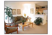 Cozy living room in a senior apartment with sofa, coffee table, plants, and adjacent kitchenette.